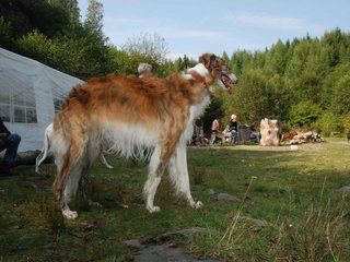 2009-09-20_ntb_8566