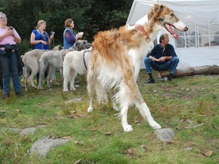 2009-09-20_ntb_8567