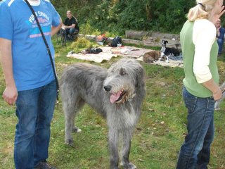 2009-09-20_ntb_8568