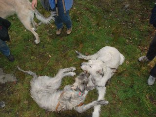 2009-09-20_ntb_8571