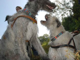 2009-09-20_ntb_8572