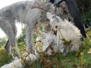 2009-09-20_ntb_8573