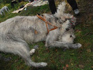 2009-09-20_ntb_8574