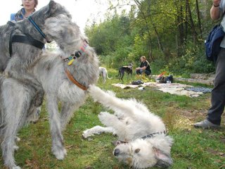 2009-09-20_ntb_8575