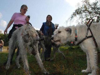 2009-09-20_ntb_8577