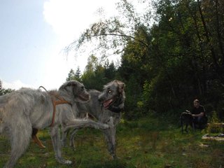2009-09-20_ntb_8578