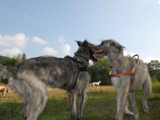 2009-09-20_ntb_8579