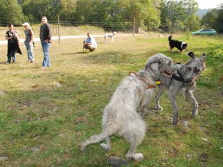 2009-09-20_ntb_8580