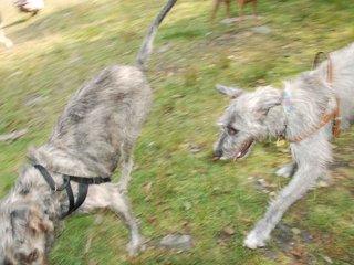 2009-09-20_ntb_8581
