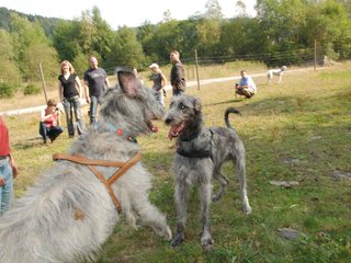 2009-09-20_ntb_8582