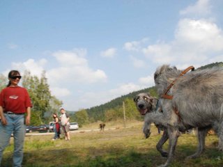 2009-09-20_ntb_8583