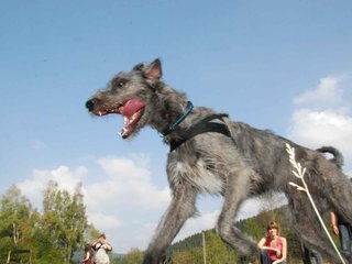2009-09-20_ntb_8584