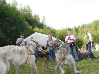 2009-09-20_ntb_8585