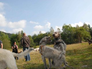2009-09-20_ntb_8587