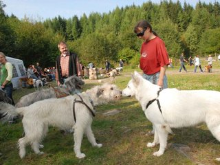 2009-09-20_ntb_8588