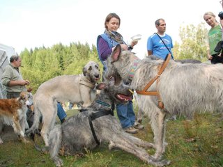 2009-09-20_ntb_8591