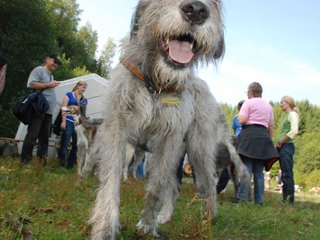 2009-09-20_ntb_8592